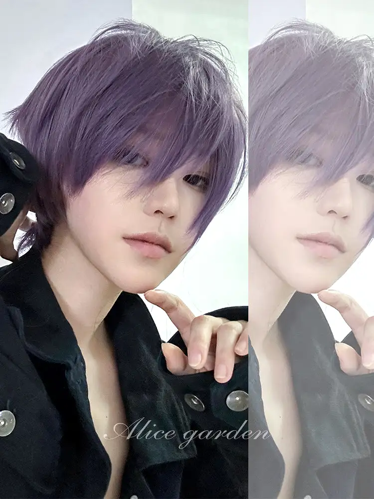 Casual Series Short Purple Ikemen Wig ON984