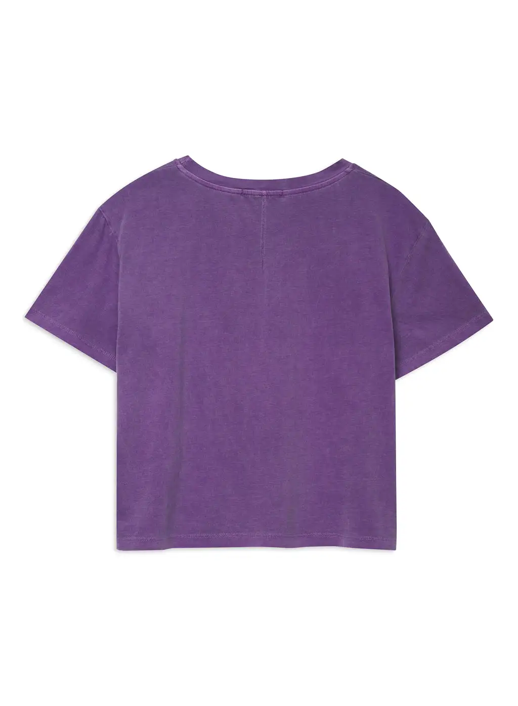 Cloud Jersey Short Sleeve Crew in Hyacinth